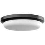 Dean Color-Select Outdoor Ceiling Flush Light - Black / White