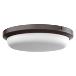 Dean Color-Select Outdoor Ceiling Flush Light - Bronze / White