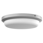 Dean Color-Select Outdoor Ceiling Flush Light - Textured Gray / White