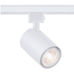 GX10 120 Volt Track Head - White