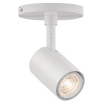 GX10 Ceiling Spot Light - White