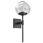 Luna Belvedere Wall Sconce - Graphite / Clear Floret
