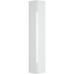 Gallery Outdoor Wall Sconce - Coastal White / White Acrylic