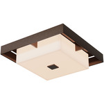 Shadow Box Outdoor Ceiling Flush Light - Coastal Bronze / Coastal Bronze