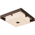 Shadow Box Outdoor Ceiling Flush Light - Coastal Bronze / Coastal Burnished Steel