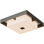Shadow Box Outdoor Ceiling Flush Light - Coastal Dark Smoke / Coastal Burnished Steel
