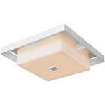Shadow Box Outdoor Ceiling Flush Light - Coastal White / Coastal Burnished Steel