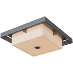Shadow Box Outdoor Ceiling Flush Light - Coastal Natural Iron / Coastal Natural Iron
