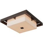 Shadow Box Outdoor Ceiling Flush Light - Coastal Bronze / Coastal Bronze