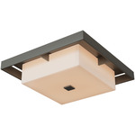 Shadow Box Outdoor Ceiling Flush Light - Coastal Dark Smoke / Coastal Dark Smoke