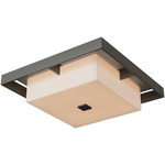 Shadow Box Outdoor Ceiling Flush Light - Coastal Dark Smoke / Coastal Burnished Steel