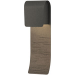 Element Dark Sky Outdoor Wall Light - Coastal Natural Iron