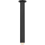 Ebell Ceiling Light - Dark Bronze / Clear