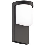 Midtown Color-Select Outdoor Wall Light - Black / White