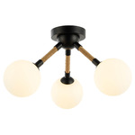 Capilano Ceiling Light - Black / White
