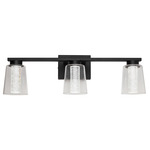 Dalton Color Select Bathroom Vanity Light - Black / Clear