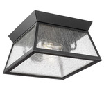 Lucian Outdoor Ceiling Light - Black / Clear Seeded