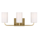 Rhett Bathroom Vanity Light - Satin Bronze / Clear / White