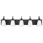 Seville Bathroom Vanity Light - Midnight Black / Etched White