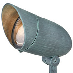 120V Outdoor PAR Spot Light - Verde / Clear