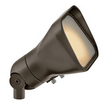 Hardy Island Accent Flood Light - Bronze / White