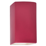 Ambiance 5955 LED Wall Sconce - Cerise