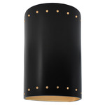 Ambiance 5990 LED Outdoor Dark Sky Wall Sconce - Carbon / Champagne Gold