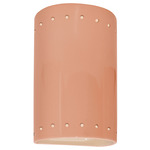 Ambiance 5990 LED Outdoor Dark Sky Wall Sconce - Gloss Blush
