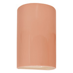 Ambiance Cylinder LED Downlight Wall Sconce - Gloss Blush