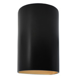 Ambiance Outdoor LED Downlight Wall Sconce - Carbon / Champagne Gold