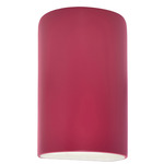 Ambiance Outdoor LED Downlight Wall Sconce - Cerise
