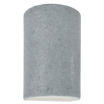 Ambiance Outdoor LED Downlight Wall Sconce - Textured Faux Concrete