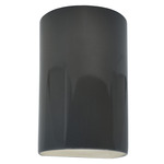 Ambiance Outdoor LED Downlight Wall Sconce - Gloss Grey