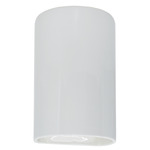 Ambiance Outdoor LED Downlight Wall Sconce - Gloss White / Gloss White