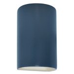 Ambiance Outdoor LED Downlight Wall Sconce - Midnight Sky / Matte White