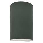 Ambiance Outdoor LED Downlight Wall Sconce - Pewter Green