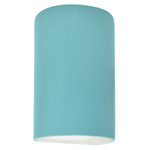 Ambiance Outdoor LED Downlight Wall Sconce - Reflecting Pool