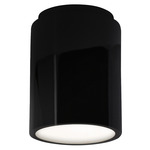 Radiance 6100 LED Ceiling Light - Gloss Black / Matte White