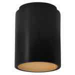 Radiance 6100 LED Dark Sky Outdoor Ceiling Light - Carbon / Champagne Gold