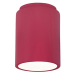 Radiance 6100 LED Dark Sky Outdoor Ceiling Light - Cerise