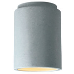 Radiance 6100 LED Dark Sky Outdoor Ceiling Light - Textured Faux Concrete