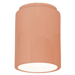 Radiance 6100 LED Dark Sky Outdoor Ceiling Light - Gloss Blush