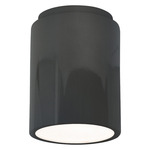 Radiance 6100 LED Dark Sky Outdoor Ceiling Light - Gloss Grey