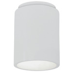 Radiance 6100 LED Dark Sky Outdoor Ceiling Light - Gloss White / Gloss White
