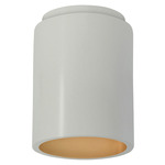 Radiance 6100 LED Dark Sky Outdoor Ceiling Light - Matte White / Champagne Gold