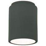 Radiance 6100 LED Dark Sky Outdoor Ceiling Light - Pewter Green