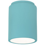 Radiance 6100 LED Dark Sky Outdoor Ceiling Light - Reflecting Pool