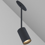 CM1 Cylinder Hang Straight Adjustable Ceiling Light - Black Powdercoat / Black Baffle