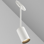 CM1 Cylinder Hang Straight Adjustable Ceiling Light - White Powdercoat / Black Baffle