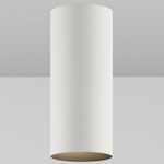 CY1 Cylinder Outdoor Fixed Ceiling Light - White Powdercoat / Black Baffle